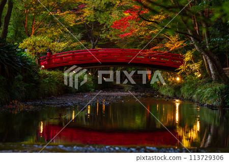 靜岡縣守知郡森町一宮市 奧國神社及其轄區 靜岡縣守知郡森町一宮市 奧國神社及其轄區 113729306