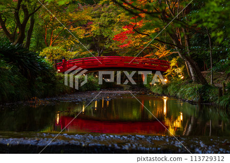 Ichinomiya, Mori-machi, Shuchi-gun, Shizuoka Prefecture Okuni Shrine and its precincts Ichinomiya, Mori-machi, Shuchi-gun, Shizuoka Prefecture Okuni Shrine and its precincts 113729312