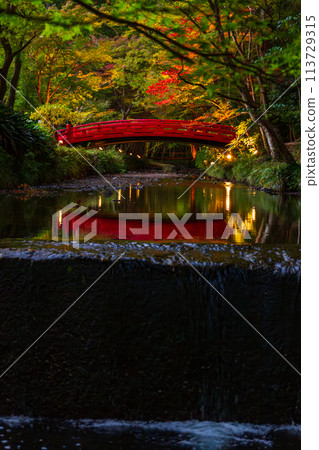 靜岡縣守知郡森町一宮市 奧國神社及其轄區 113729315