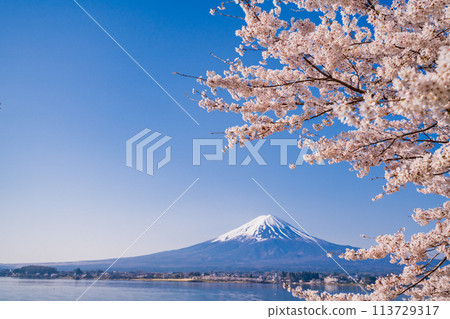 （山梨縣）河口湖、櫻花和富士山 113729317