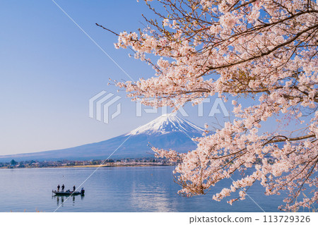 (山梨縣)河口湖、櫻花和富士山 (山梨縣)河口湖、櫻花和富士山 113729326
