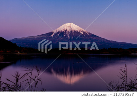 Lake Tanuki and Mt. Fuji in Inokashira, Fujinomiya City, Shizuoka Prefecture Lake Tanuki and Mt. Fuji in Inokashira, Fujinomiya City, Shizuoka Prefecture 113729557