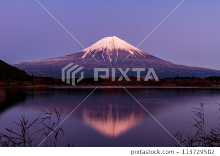 Lake Tanuki and Mt. Fuji in Inokashira, Fujinomiya City, Shizuoka Prefecture 113729582