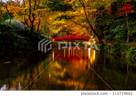 Ichinomiya, Mori-machi, Shuchi-gun, Shizuoka Prefecture Okuni Shrine and its precincts Ichinomiya, Mori-machi, Shuchi-gun, Shizuoka Prefecture Okuni Shrine and its precincts 113729662