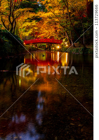 Ichinomiya, Mori-machi, Shuchi-gun, Shizuoka Prefecture Okuni Shrine and its precincts 113729666