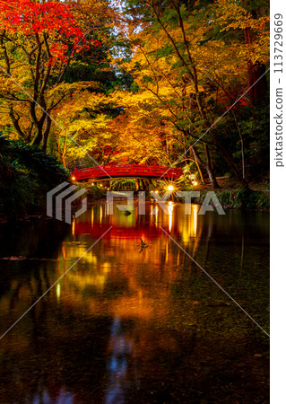 靜岡縣守知郡森町一宮市 奧國神社及其轄區 靜岡縣守知郡森町一宮市 奧國神社及其轄區 113729669