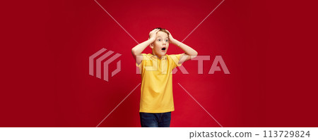 Banner. Surprised, shocked little boy put hands on head of excitement against red studio background with negative space. Banner. Surprised, shocked little boy put hands on head of excitement against red studio background with negative space. 113729824