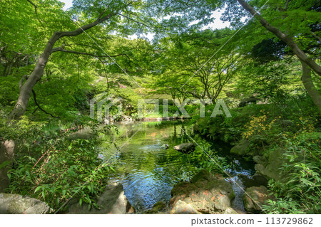 東京都品川區池田山公園 113729862