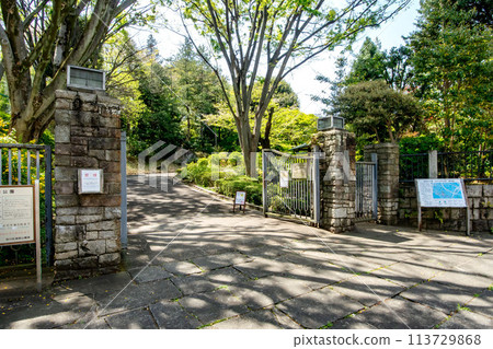 Ikedayama Park, Shinagawa Ward, Tokyo 113729868