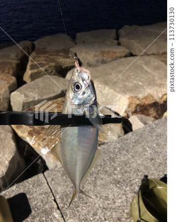 夜間老化 113730130