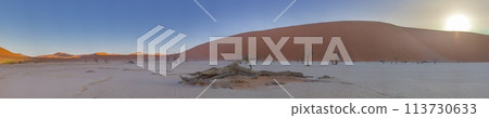 Panoramic view to the Big Daddy Dune in Sussusvlei from the salt pan of Deathvlei with surrounding red dunes in the morning 113730633