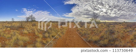 Panoramic picture over the Namibian Kalahari in the evening at sunset with blue sky and light clouds Panoramic picture over the Namibian Kalahari in the evening at sunset with blue sky and light clouds 113730649