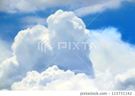 Hard clouds floating in the blue summer sky (above Utsunomiya City, Tochigi Prefecture) 113731142