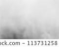 black and white blurred gradients for creative project. picture from Dslr cameras that take off the focus point lens. 113731258