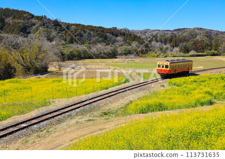 【千葉縣市原市】小湊鐵道和油菜花的藍天風景 113731635