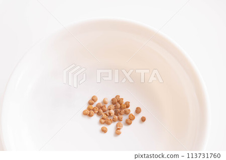 蔬菜種子 茄子 蔬菜種子 茄子 113731760