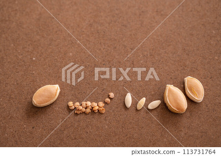Vegetable seeds 113731764