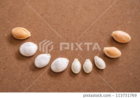 Pumpkin seed 113731769