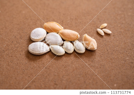 蔬菜種子 蔬菜種子 113731774