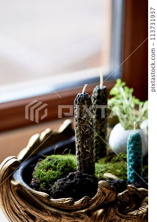A green bowl filled with candles and moss sits on a wooden window sill, surrounded by terrestrial plants and grass. A twig and rope add to the natural houseplant landscape A green bowl filled with candles and moss sits on a wooden window sill, surrounded by terrestrial plants and grass. A twig and rope add to the natural houseplant landscape 113731937
