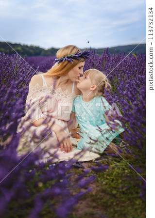 the daughter kisses her mother. family picnic on a lavender field 113732134