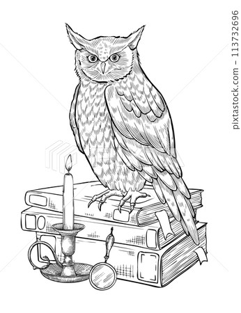 Wise Owl on a stack of books. Vector illustration of bird a symbol of wisdom and knowledge. Linear drawing on isolated background. Monochrome etching of educational school notebooks with candle light. Wise Owl on a stack of books. Vector illustration of bird a symbol of wisdom and knowledge. Linear drawing on isolated background. Monochrome etching of educational school notebooks with candle light. 113732696