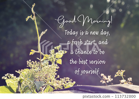 Green nature with motivational and inspirational quote Green nature with motivational and inspirational quote 113732800