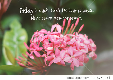 Flower picture with motivation and inspirational quote Flower picture with motivation and inspirational quote 113732951