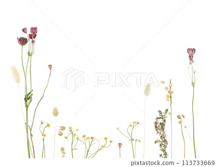 Vintage floral pattern on white background. Small pastel colorful flowers 113733669