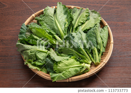 秋田縣福立蔬菜 秋田縣福立蔬菜 113733773
