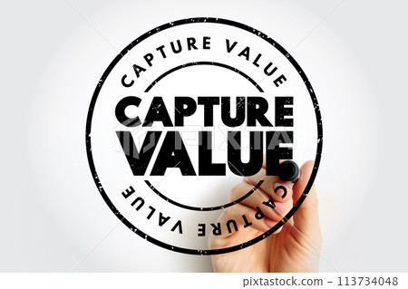 Capture Value text quote, concept background 113734048