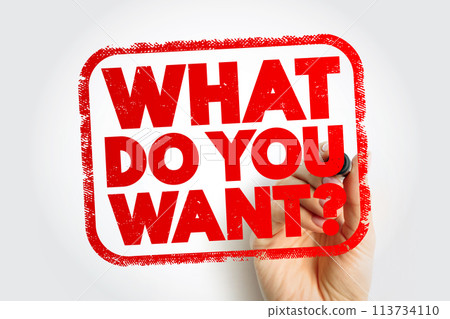 What Do You Want question text stamp, concept background 113734110