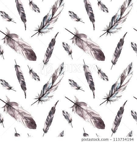 Watercolor bird feathers seamless pattern with monochrome feathers, grey black color with graphic ink line. Quills wings drawing illustration Wallpaper wrapping fabric print. Isolated white background Watercolor bird feathers seamless pattern with monochrome feathers, grey black color with graphic ink line. Quills wings drawing illustration Wallpaper wrapping fabric print. Isolated white background 113734194