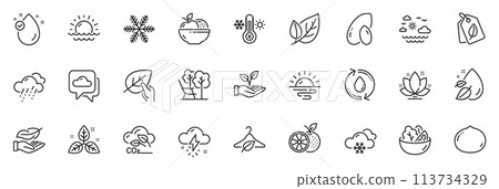 Icons pack as Orange, Slow fashion and Vitamin e line icons for app include Rainy weather, Refill water, Organic tested outline thin icon web set. Peanut, Fair trade, Snow weather pictogram. Vector Icons pack as Orange, Slow fashion and Vitamin e line icons for app include Rainy weather, Refill water, Organic tested outline thin icon web set. Peanut, Fair trade, Snow weather pictogram. Vector 113734329