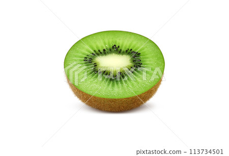 獼猴桃插圖現實白色背景 113734501