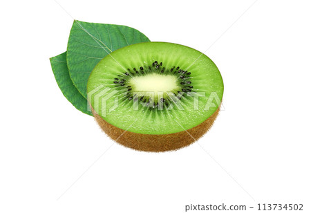 獼猴桃插圖現實白色背景 113734502