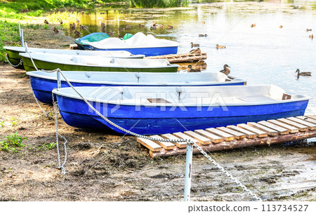 Plastic pleasure boats are moored on the shore of the lake Plastic pleasure boats are moored on the shore of the lake 113734527