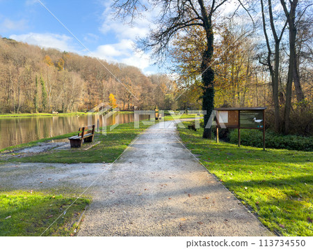 Wooden bench in front of a lake in landscape park 113734550