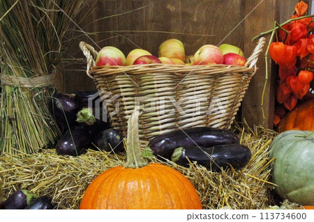 Fresh organic vegetables on farmer market. Local farm bazaar. Assortment of fresh organic harvest garden produce. Bio products, bio ecology. Natural healthy food festival. Agricultural rustic fair Fresh organic vegetables on farmer market. Local farm bazaar. Assortment of fresh organic harvest garden produce. Bio products, bio ecology. Natural healthy food festival. Agricultural rustic fair 113734600