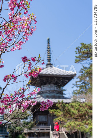 [第一寺院] 泉神山寺多寶塔[四國88處] 113734789