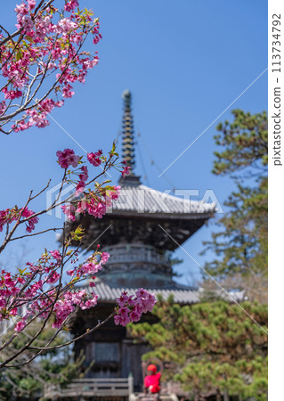 [第一寺院] 泉神山寺多寶塔[四國88處] 113734792