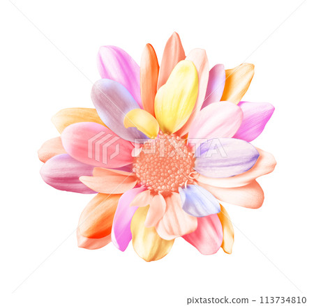 Abstract flower with various colors ideal for posters and logos. spring freshness Abstract flower with various colors ideal for posters and logos. spring freshness 113734810