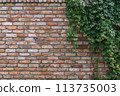 Background old red brick wall with climbing plant Virginia creeper (Parthenocissus quinquefolia). 113735003