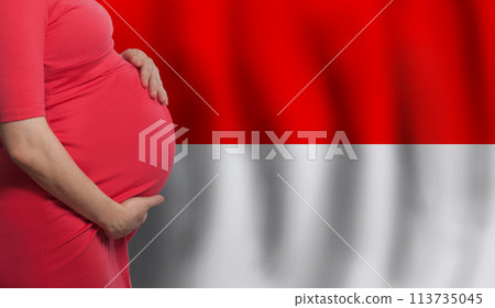 Pregnant woman belly on flag of Monaco background Pregnant woman belly on flag of Monaco background 113735045