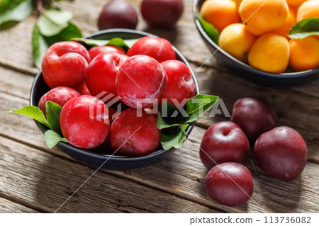 Colorful plums Colorful plums 113736082