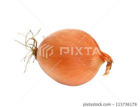 A yellow onion isolated on a white background 113736179
