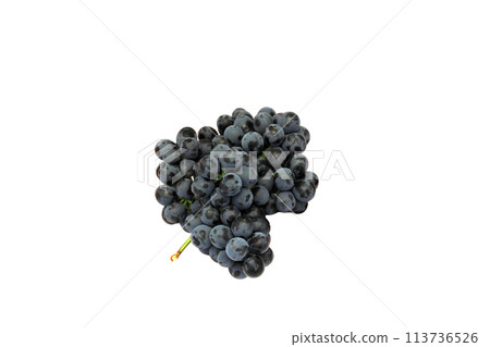 Blue Isabella grapes bunch isolated on white background 113736526
