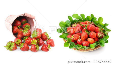 Ripe strawberry isolated on white. Collage. Wide photo. There is free space for text. 113736639