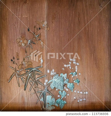 Ceiling painting of Takazawa Kannon Niryuhoji Temple 113736936