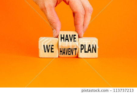 We have or not plan symbol. Concept word We have or have not plan on beautiful wooden cubes. Beautiful orange table orange background. Business and we have or not plan concept. Copy space. 113737213
